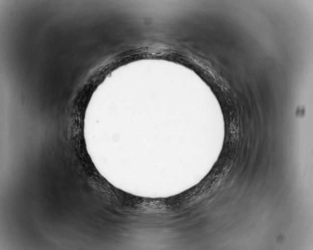 X0000103911447200810101257