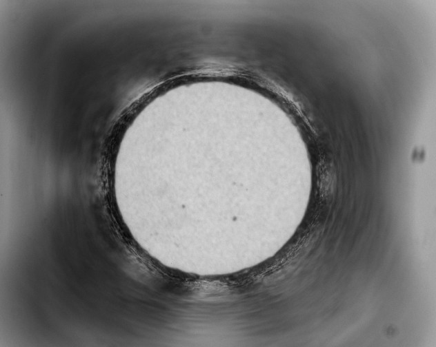 X0000103911448200810101257