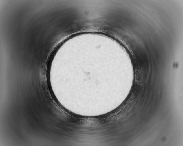 X0000103911452200810101257