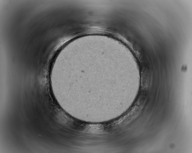 X0000103911453200810101257