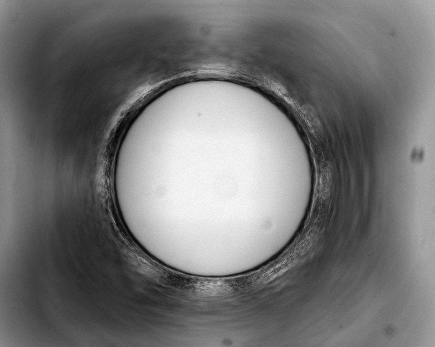 X0000103911454200810101257