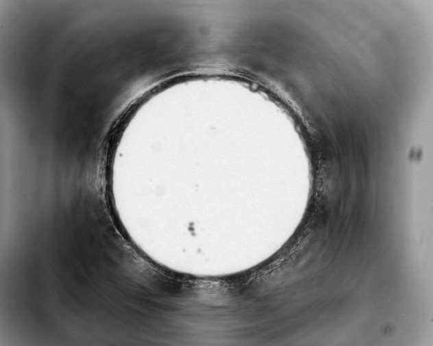 X0000103911456200810101257