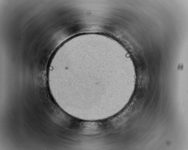 X0000103911457200810101257