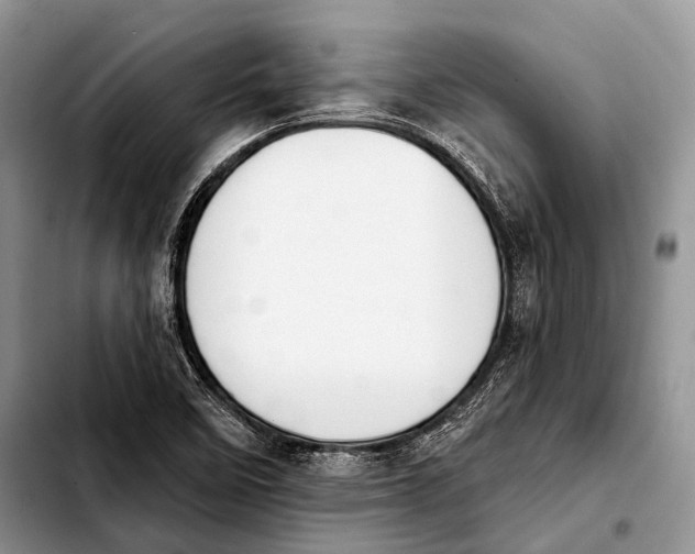 X0000103911458200810101257