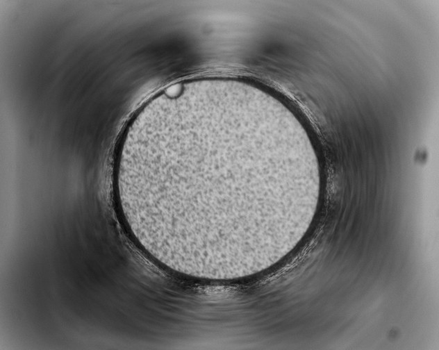 X0000103911459200810101257