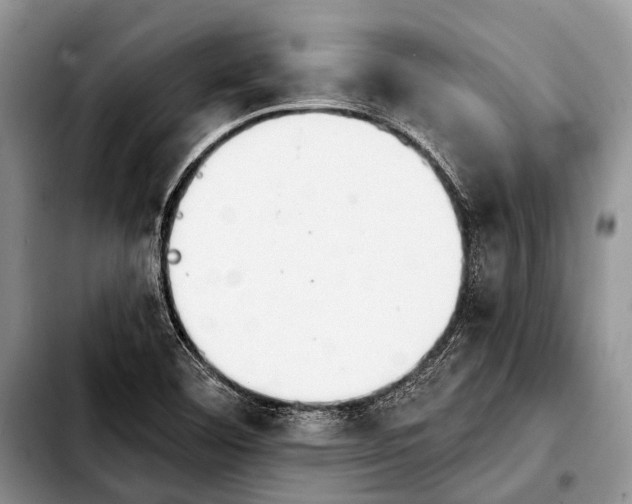 X0000103911460200810101257