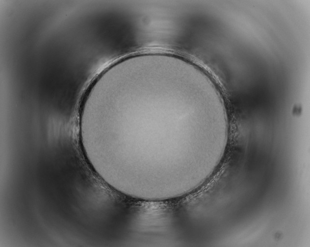 X0000103911461200810101257