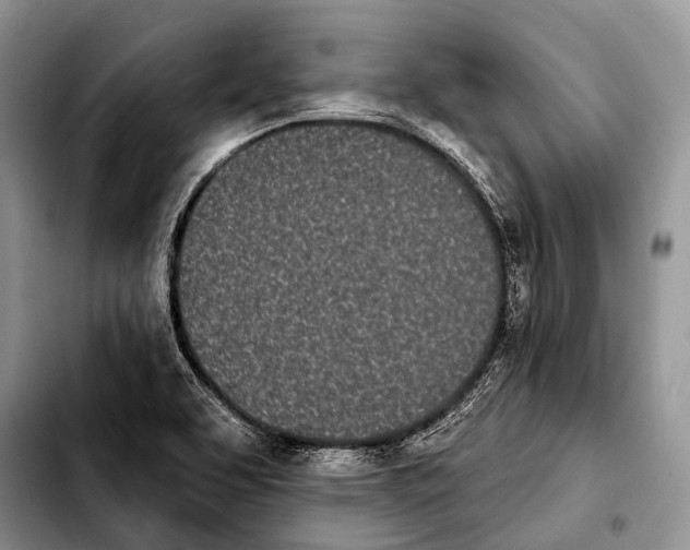 X0000103911463200810101257