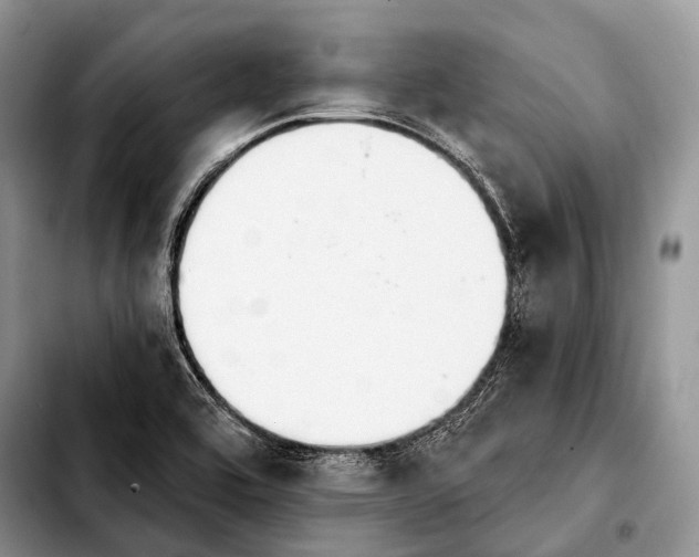X0000103911464200810101257