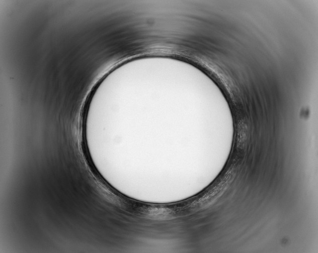 X0000103911467200810101257
