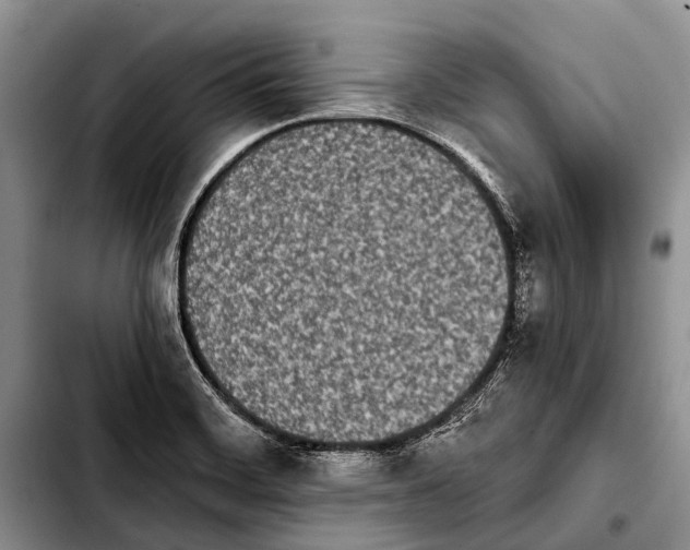 X0000103911468200810101257
