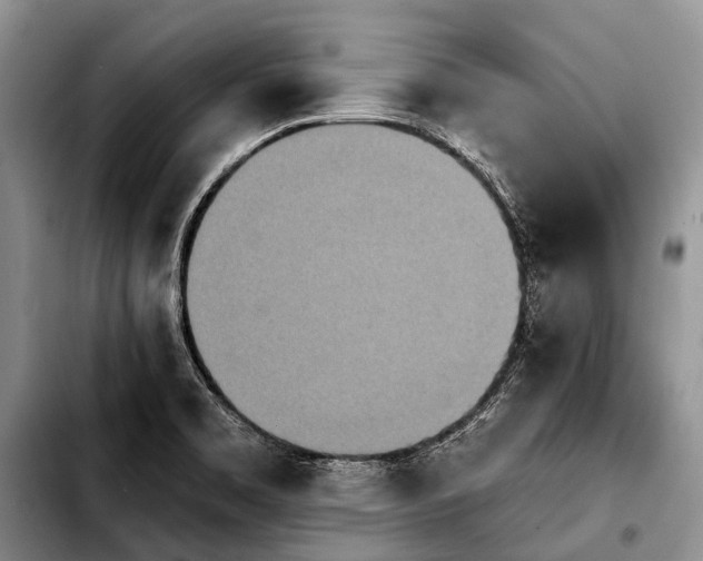 X0000103911469200810101257