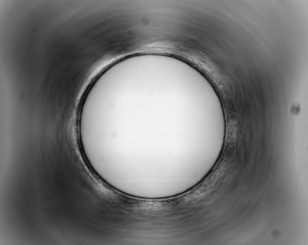 X0000103911470200810101257
