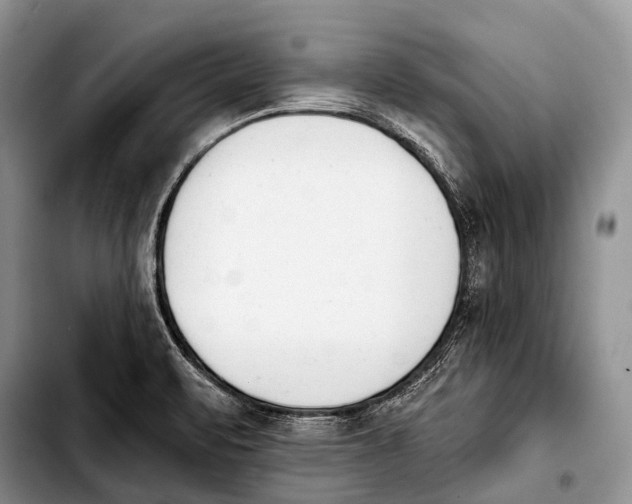 X0000103911471200810101257