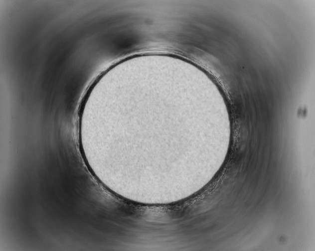 X0000103911472200810101257