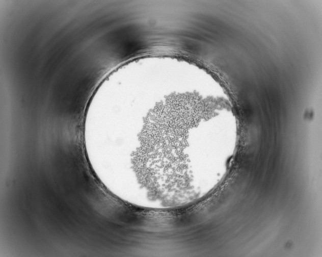 X0000103911473200810101257