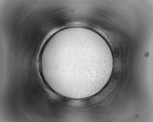 X0000103911474200810101257
