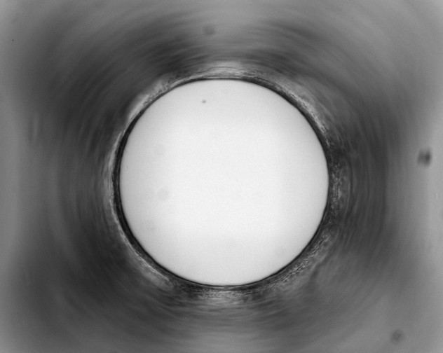 X0000103911475200810101257