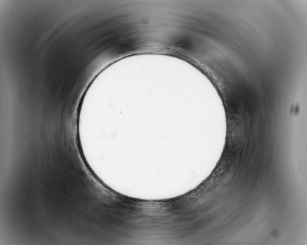 X0000103911479200810101257