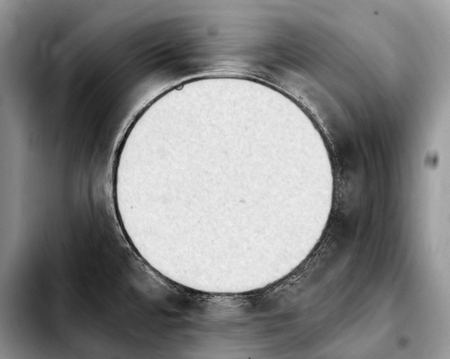 X0000103911480200810101257