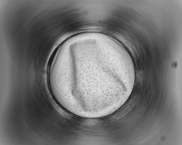 X0000103911482200810101257
