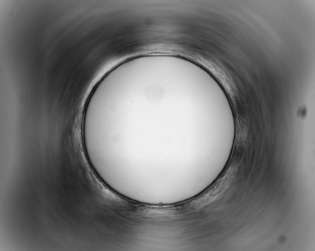 X0000103911486200810101257
