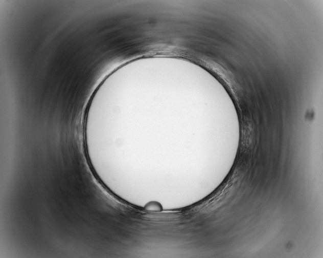 X0000103911487200810101257