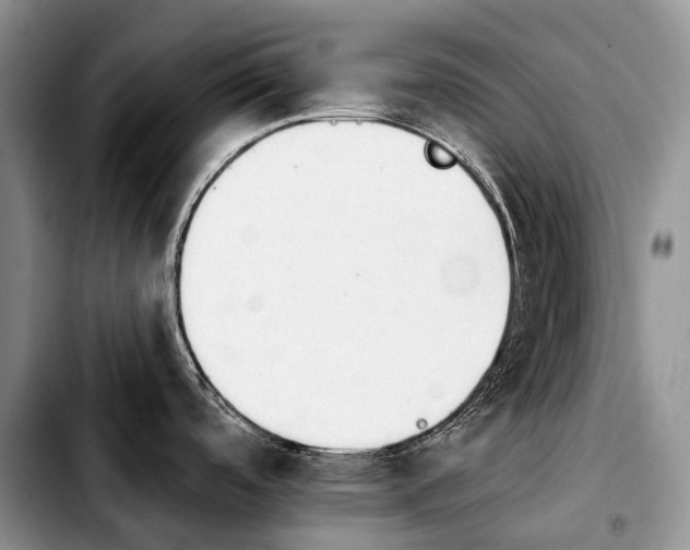 X0000103911488200810101257