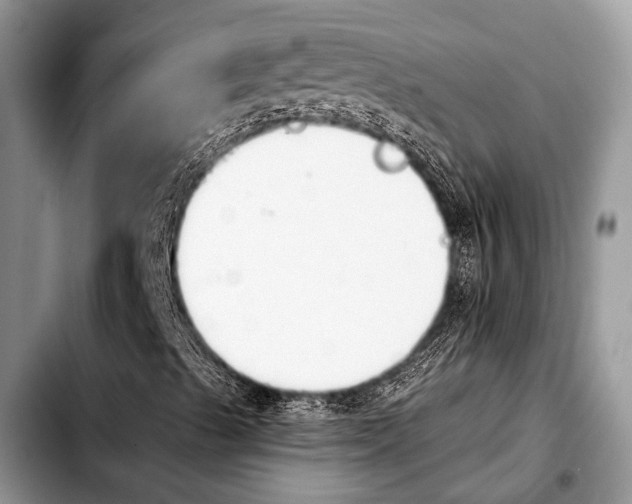 X0000103911489200810101256