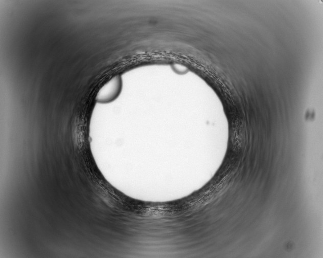 X0000103911490200810101256