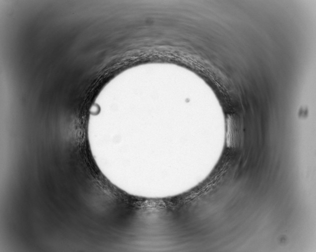 X0000103911491200810101256