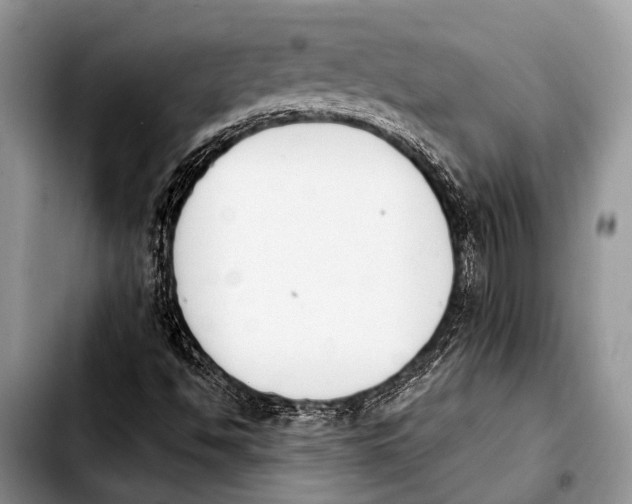 X0000103911494200810101256