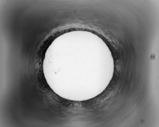 X0000103911495200810101256