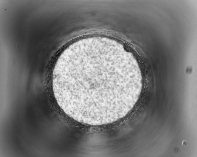 X0000103911496200810101256