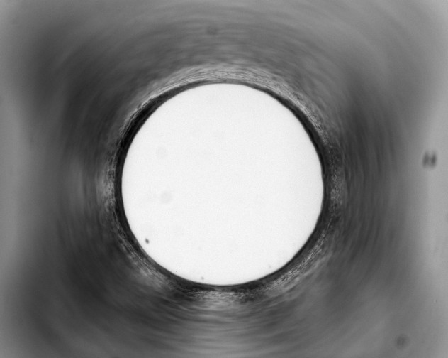 X0000103911499200810101256