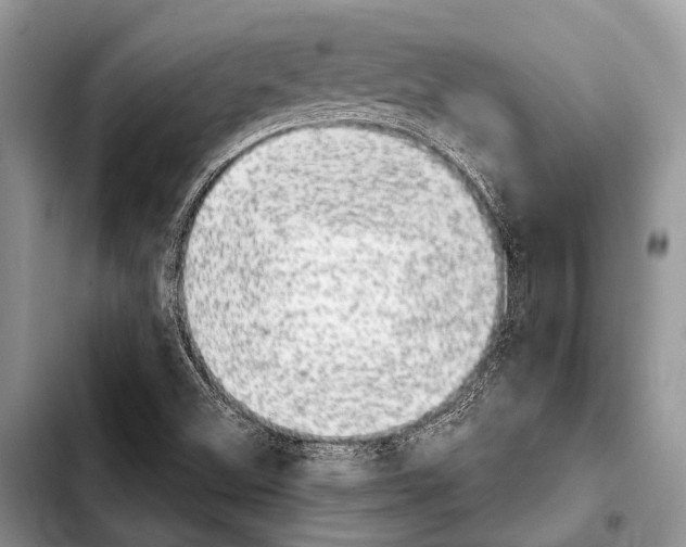 X0000103911500200810101256