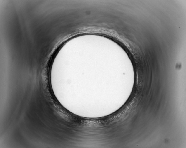 X0000103911501200810101256