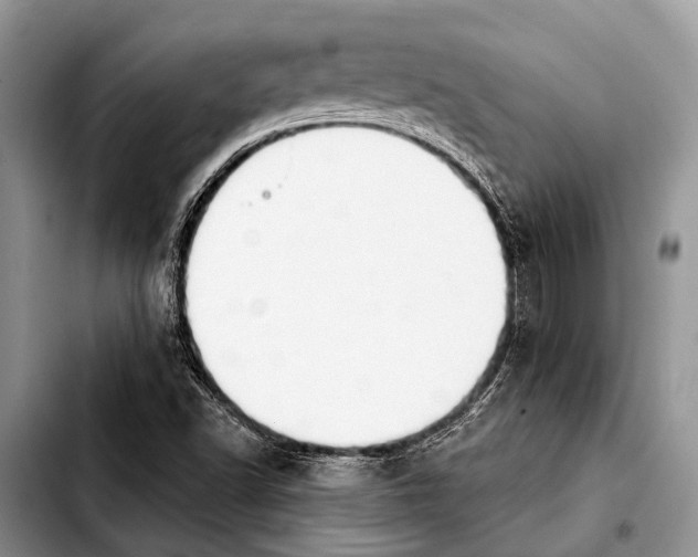 X0000103911502200810101256