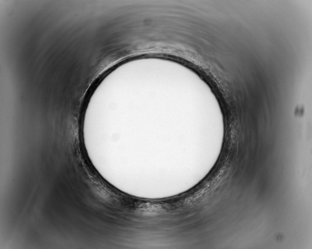 X0000103911505200810101256