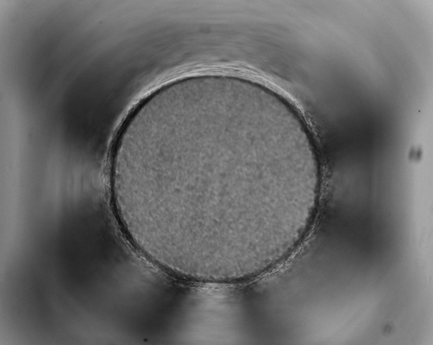 X0000103911506200810101256