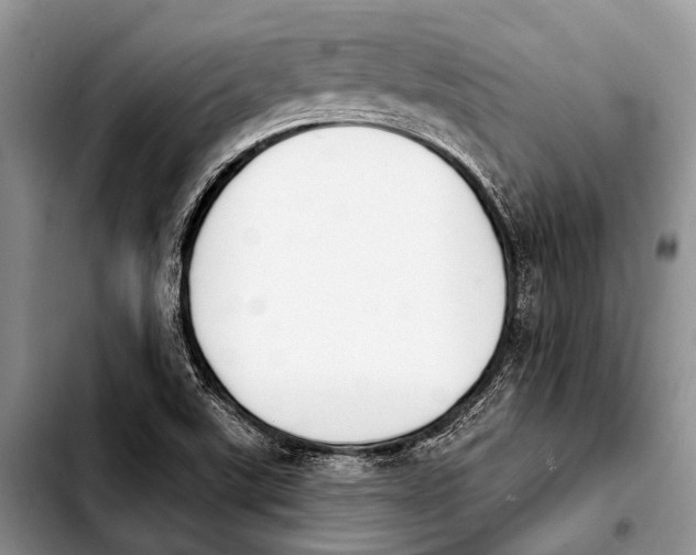 X0000103911507200810101256