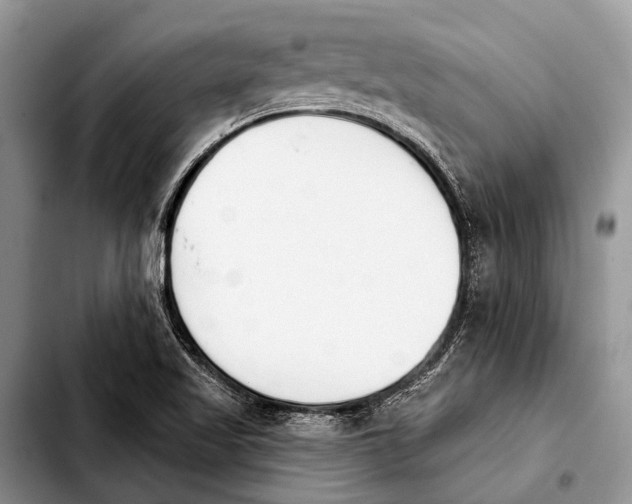 X0000103911509200810101256