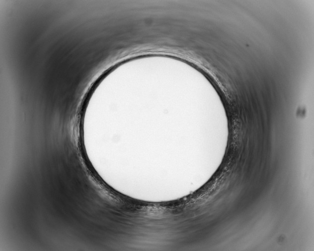 X0000103911511200810101256