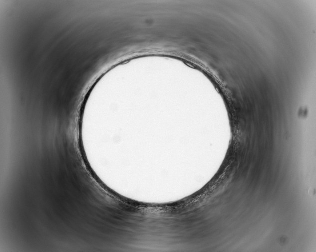 X0000103911512200810101256