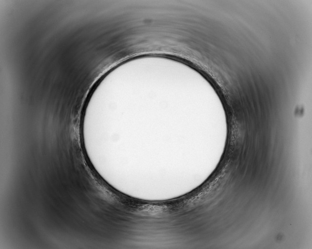 X0000103911513200810101256