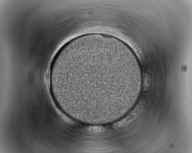 X0000103911515200810101256