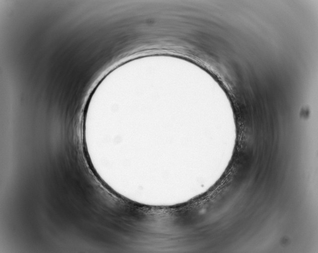 X0000103911516200810101256
