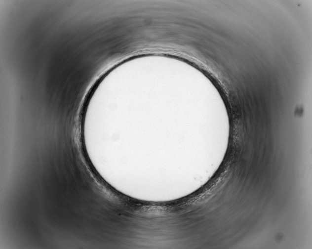 X0000103911517200810101256
