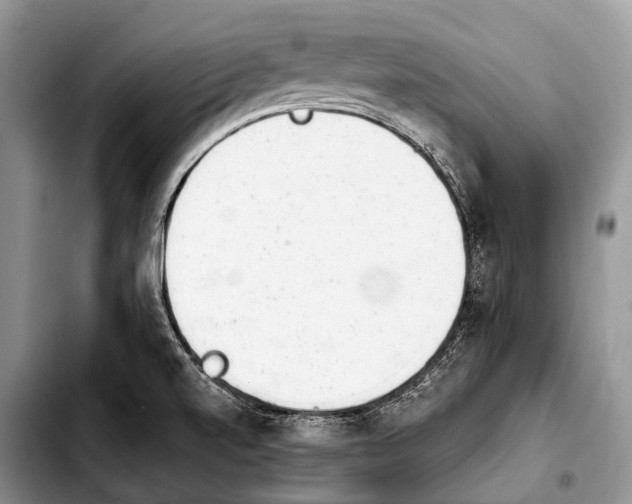 X0000103911520200810101256