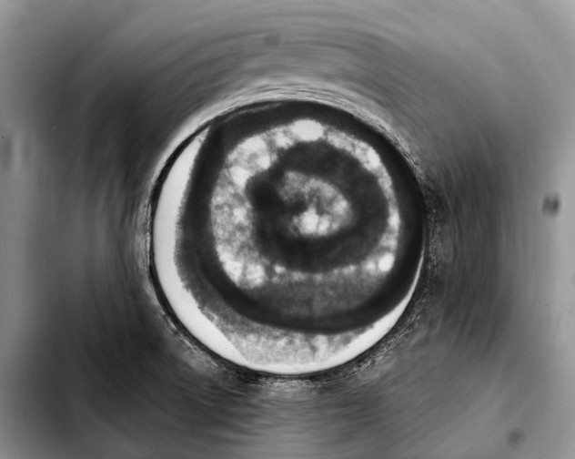 X0000103911522200810101256